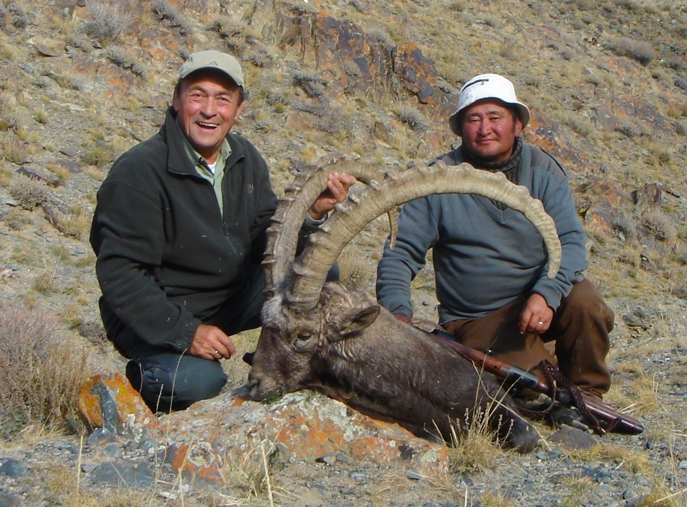 Altai Ibex