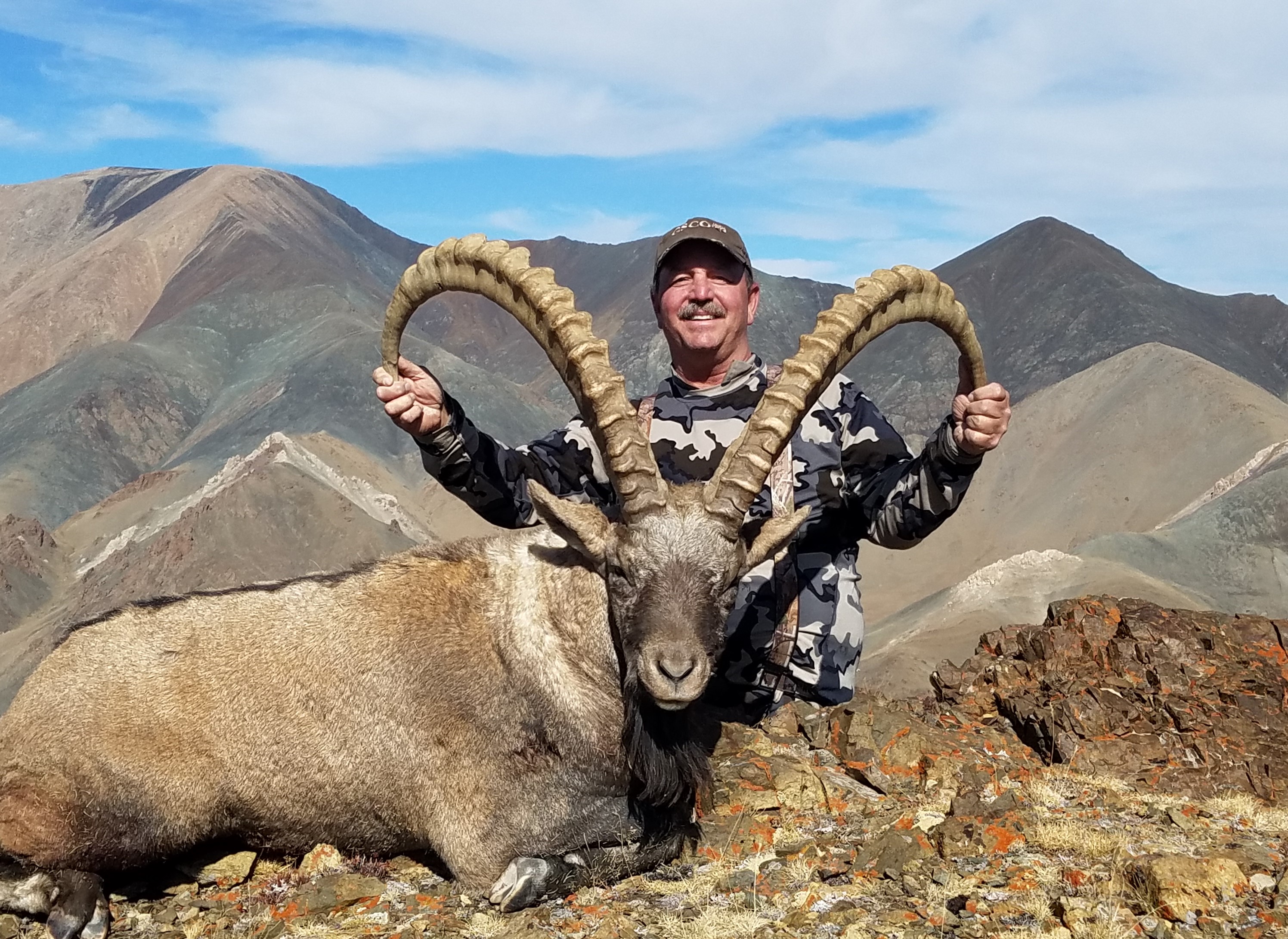 Altai Ibex