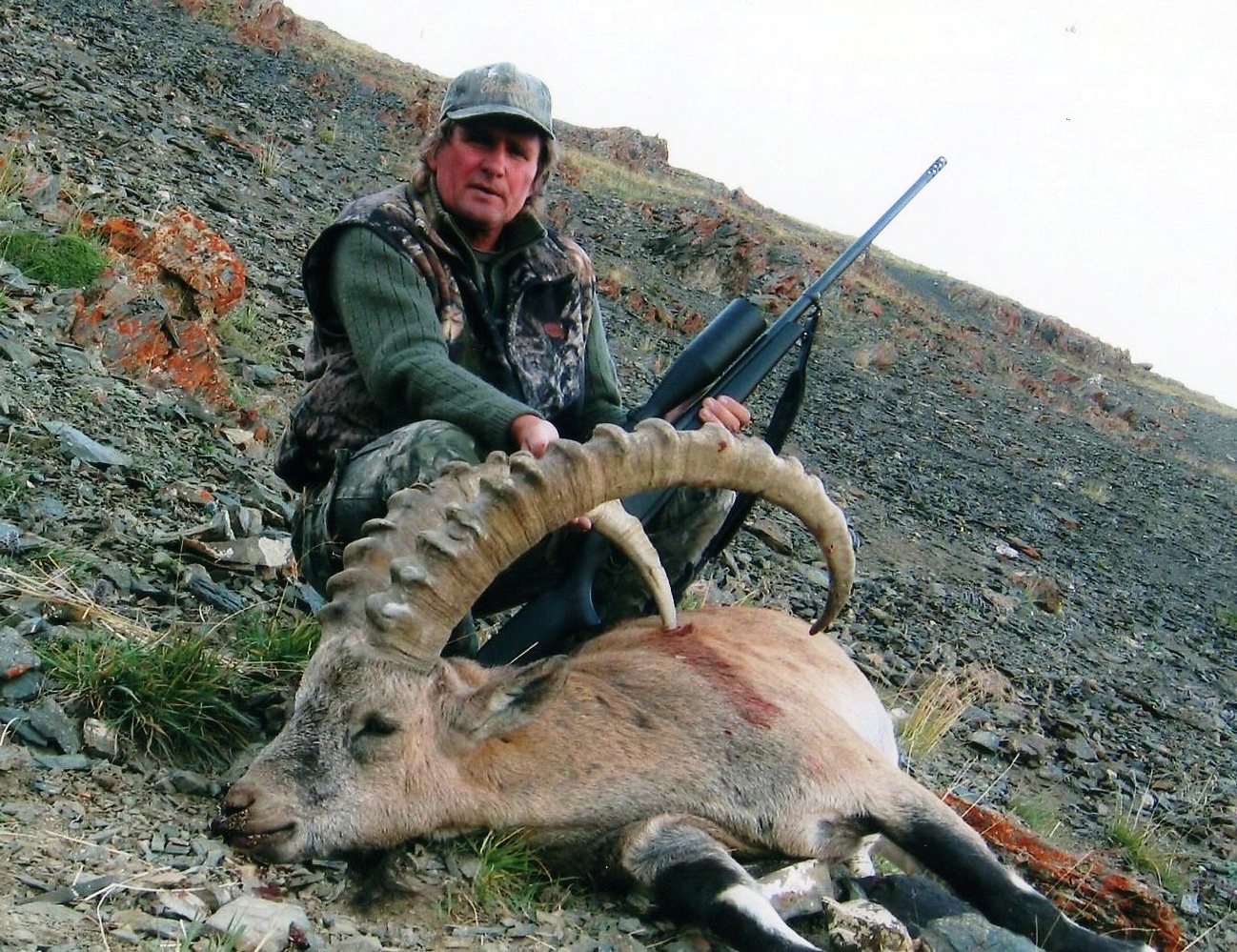 Gobi Ibex