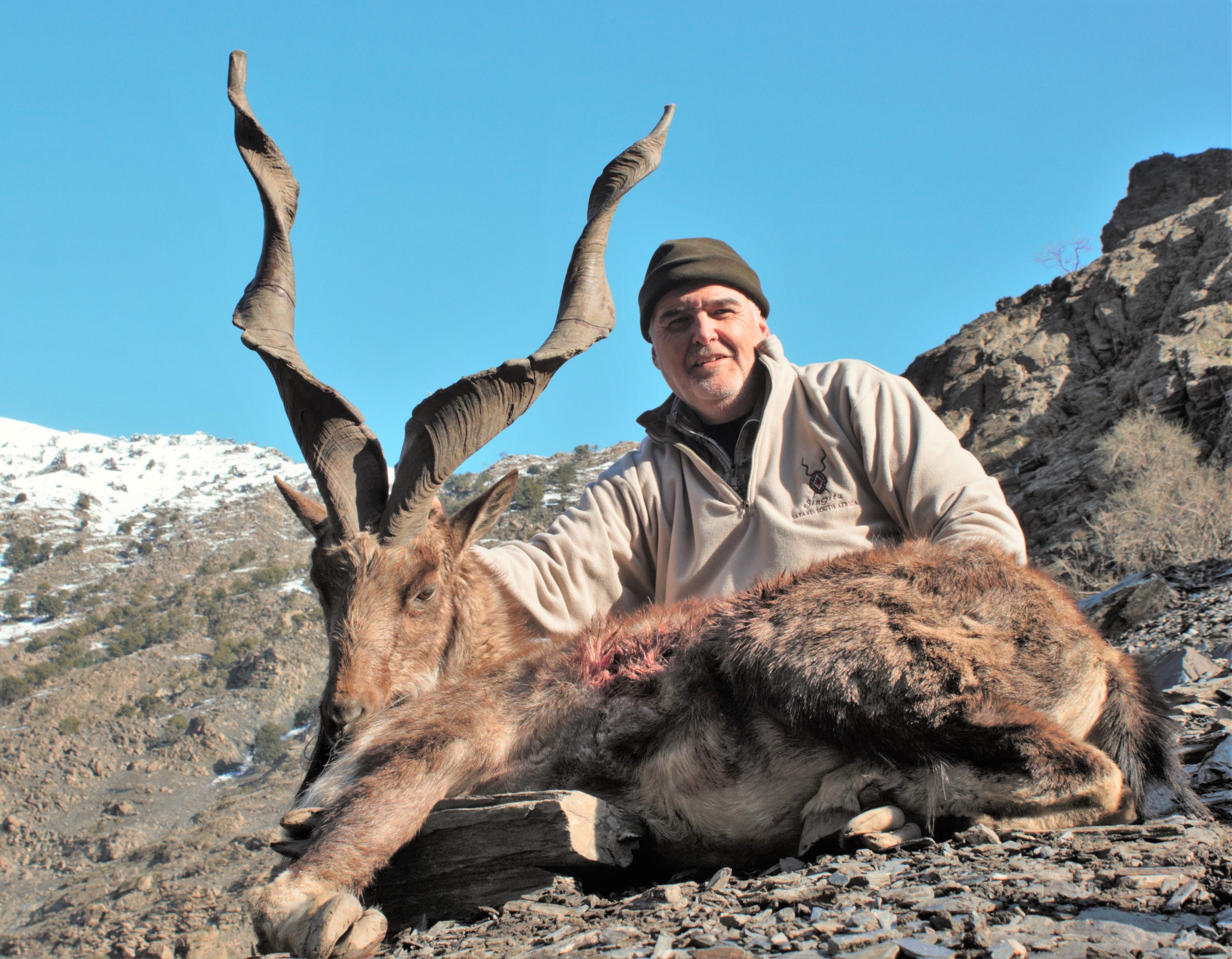 Kashmir Markhor